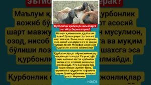 Leia mais sobre o artigo СЎНГГИ ХАБАРЛАР: Куннинг асосий воқеалари#курбон #rek #tezkunda #tarot #uzbek