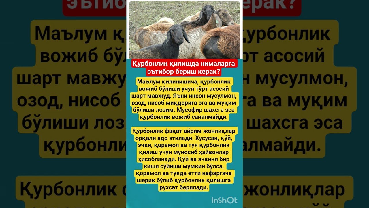 No momento, você está visualizando СЎНГГИ ХАБАРЛАР: Куннинг асосий воқеалари#курбон #rek #tezkunda #tarot #uzbek