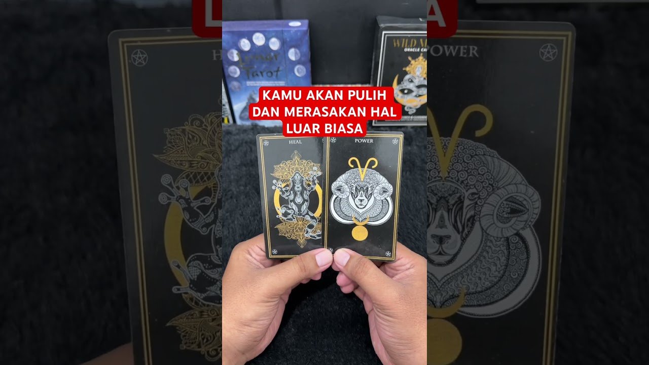 No momento, você está visualizando KAMU AKAN PULIH DAN MERASAKAN HAL LUAR BIASA #tarot #tarotreading