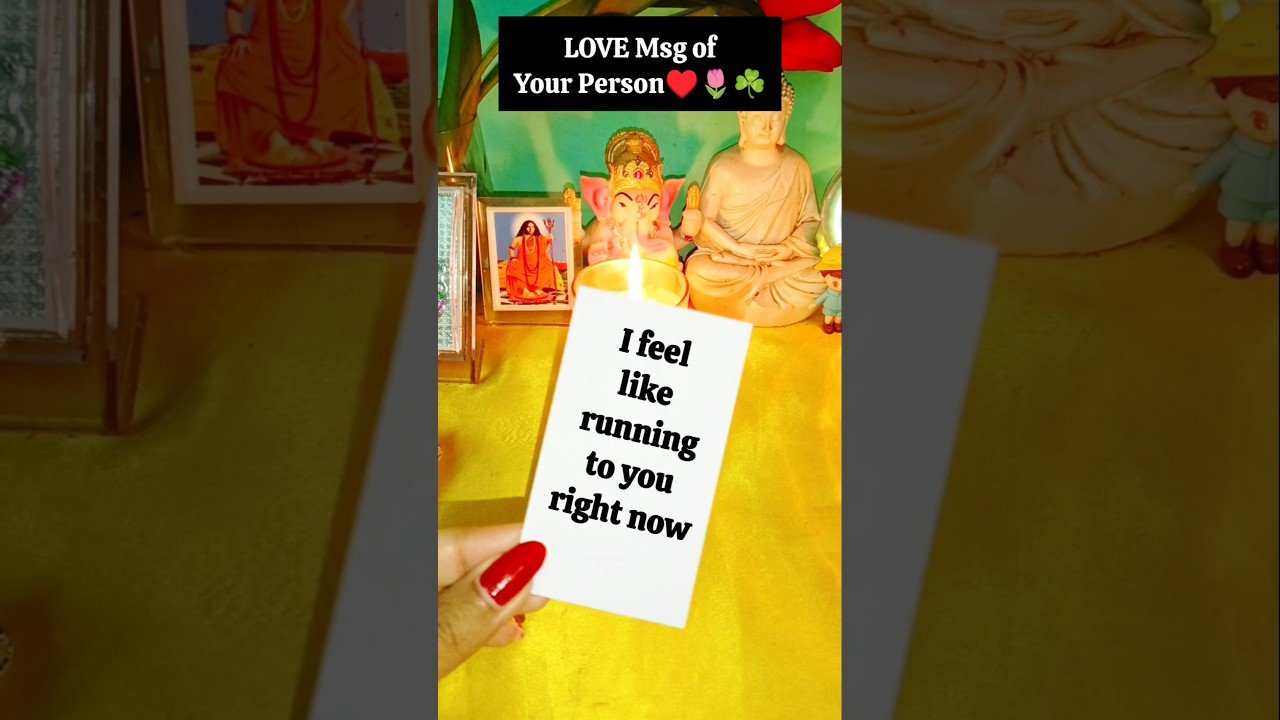 No momento, você está visualizando Love Msg🌹🌿♥️ #tarot #tarotreading #love #soulmate #twinflame #dmtodf #twinflames ‎⁨@Tarot.Speaks