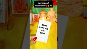 Leia mais sobre o artigo Love Msg🌹🌿♥️ #tarot #tarotreading #love #soulmate #twinflame #dmtodf #twinflames ‎⁨@Tarot.Speaks