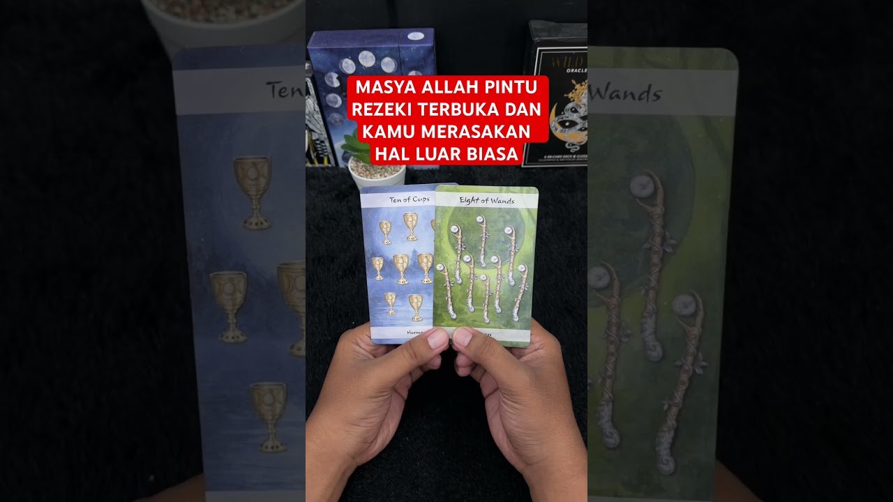 No momento, você está visualizando MASYA ALLAH PINTU REZEKI TERBUKA DAN KAMU MERASAKAN HAL LUAR BIASA #tarot #tarotreading