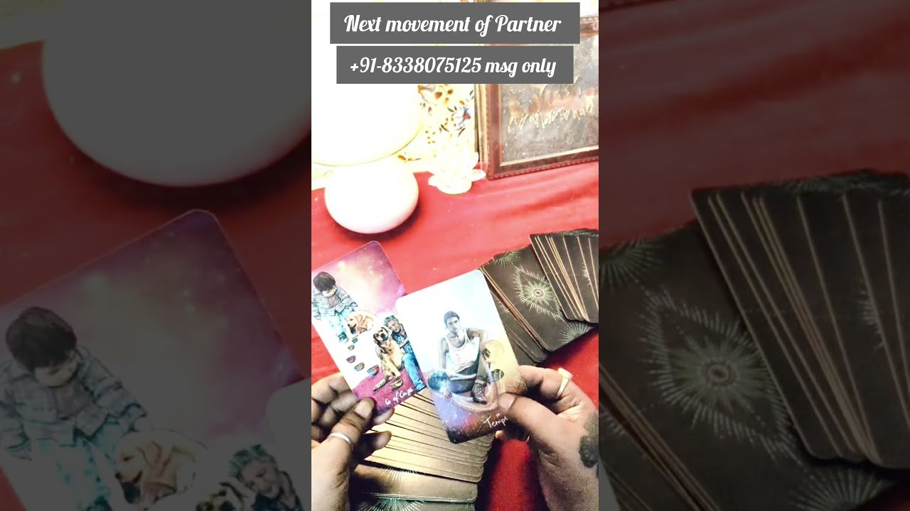 Leia mais sobre o artigo Next Movement of Partner #ytshortsindia #trending #tarot #viral