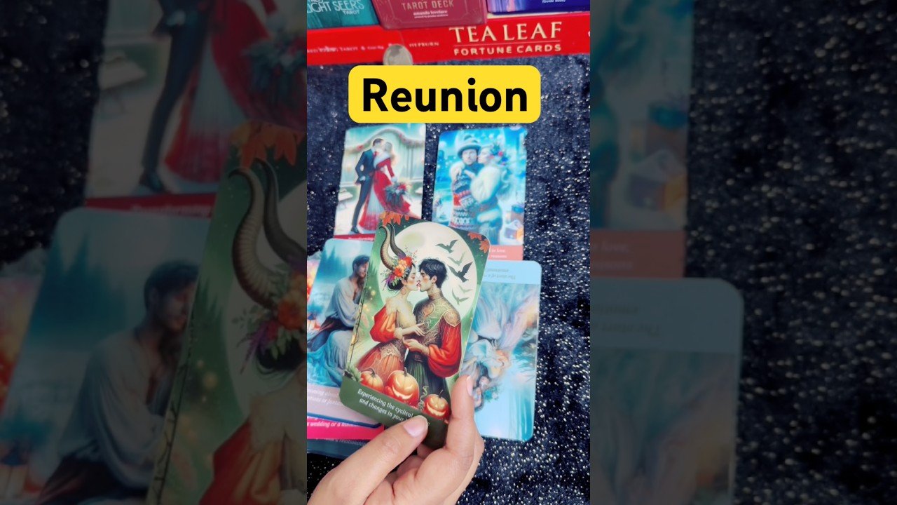 No momento, você está visualizando no contact situation/reunion jaldi hoga/#tarot #tarotreading #nocontactreading #twinflame #love