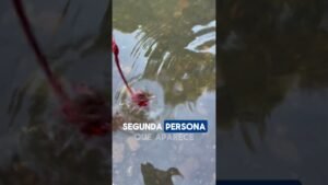 Leia mais sobre o artigo Presta mucha atención #tarot