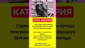 Leia mais sobre o artigo #rekkkkkk #love #tarot #rek #azob #aviation #news #memes #automobile #fup