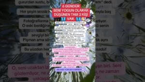 Leia mais sobre o artigo Seni yoğun olarak düşünen tam 2 kişi var ? #tarot #tarotreading #tarotcards #burçlar #ikizalev