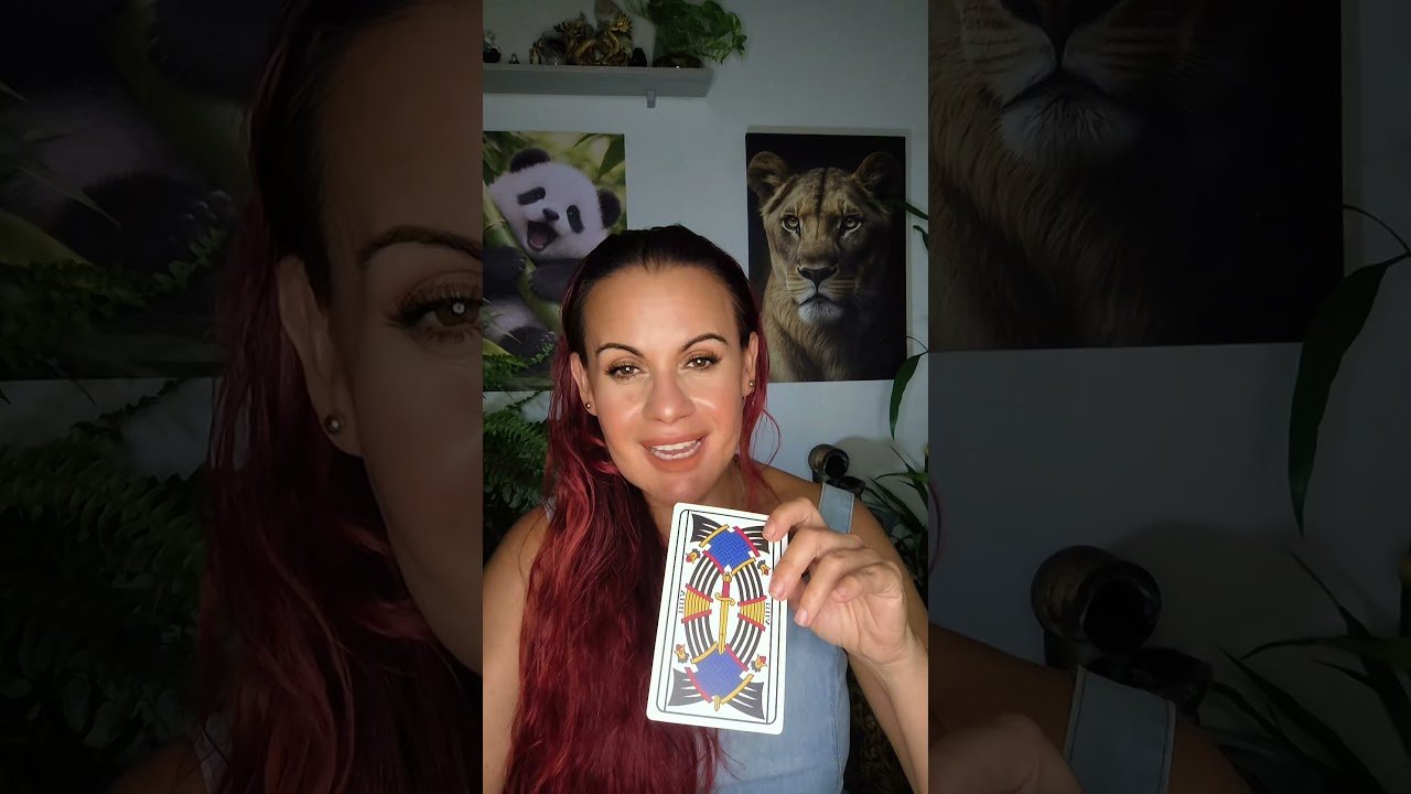 No momento, você está visualizando #tarot