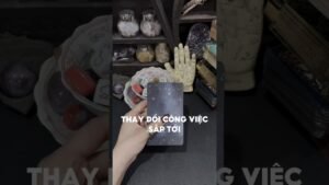 Leia mais sobre o artigo Thay đổi công việc sắp tới #tarot #duongtarot #tarotreels #tarotvietnam #tarotonline #tinhyeu