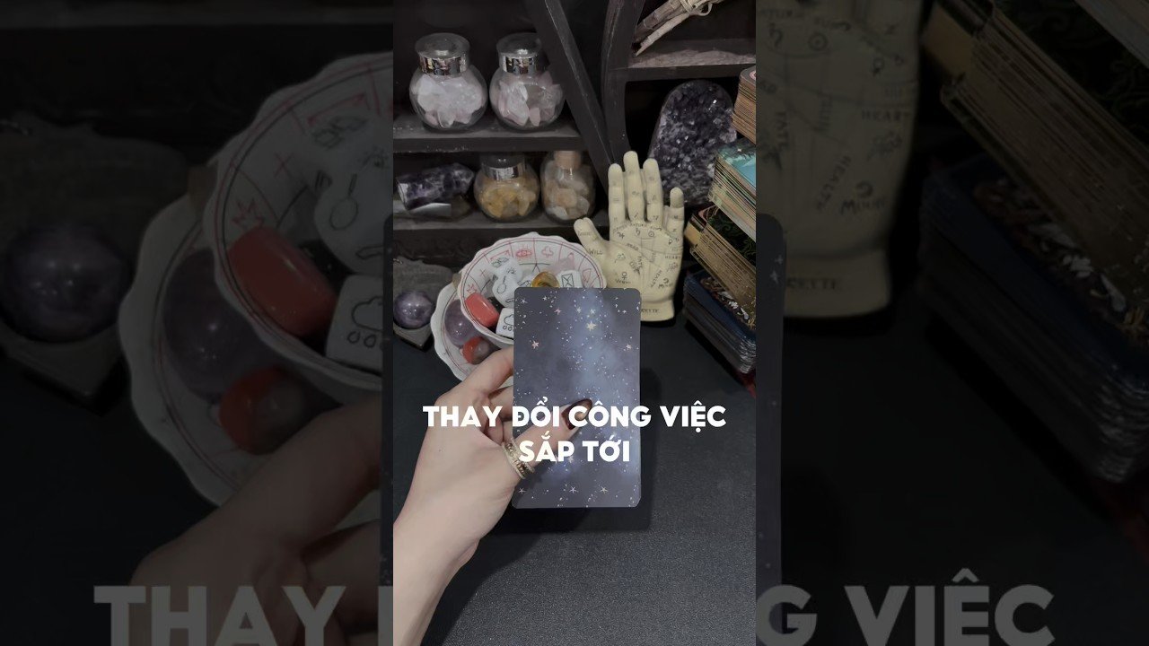 No momento, você está visualizando Thay đổi công việc sắp tới #tarot #duongtarot #tarotreels #tarotvietnam #tarotonline #tinhyeu