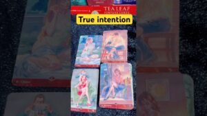 Leia mais sobre o artigo True intentions for you/Tarot card reading/current feelings/reunion/#love #tarot #tarotreading