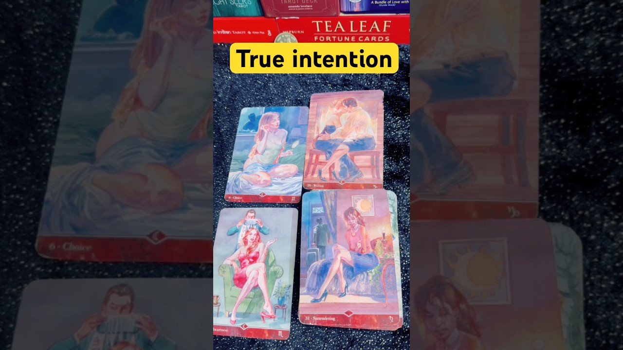 No momento, você está visualizando True intentions for you/Tarot card reading/current feelings/reunion/#love #tarot #tarotreading