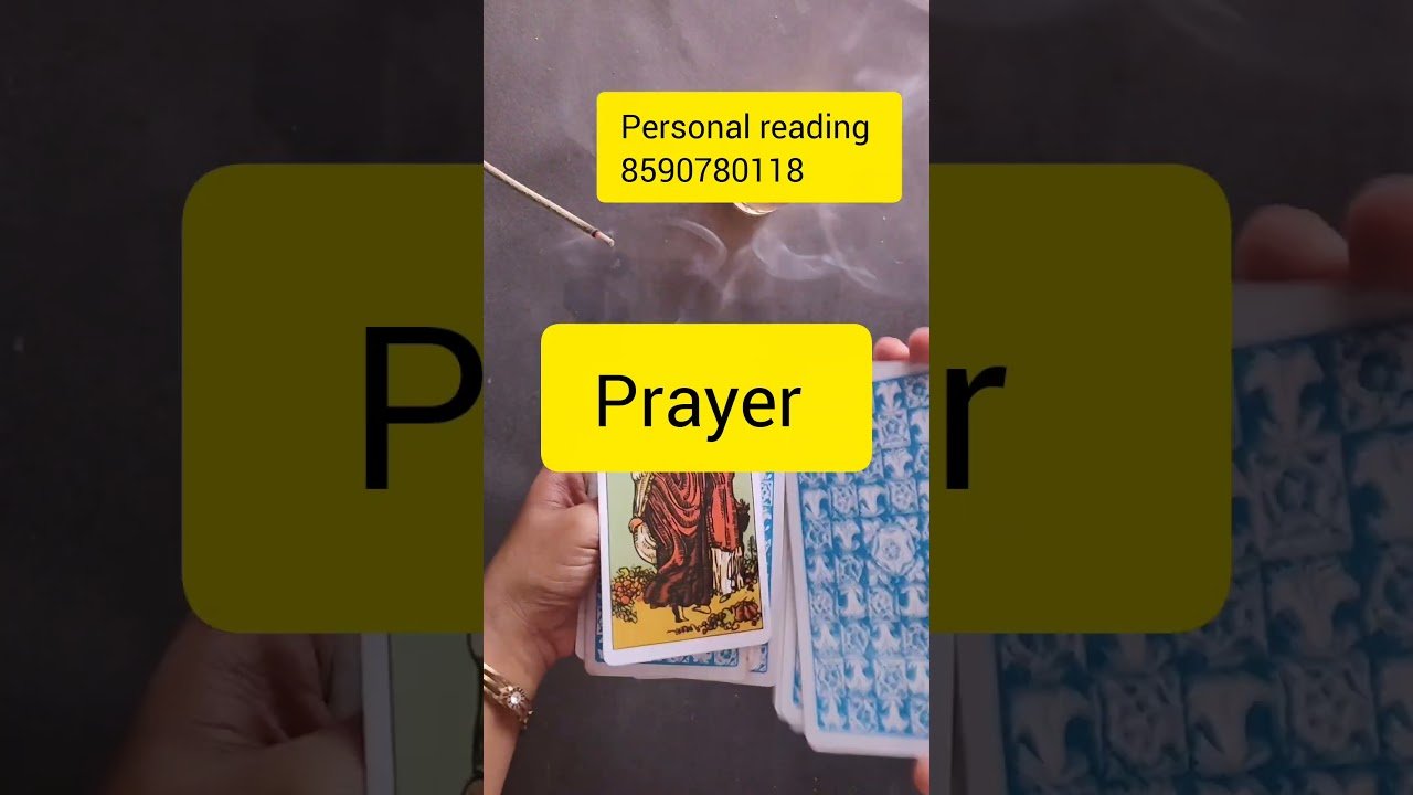 Leia mais sobre o artigo your Person Current Feelings 🙏#timelessreading #tarot #generalreading