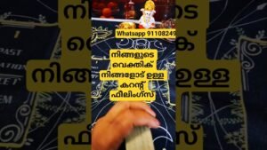 Leia mais sobre o artigo ❤️ അവർ ഇപ്പോഴും നിങ്ങളെ സ്നേഹിക്കുന്നുണ്ടോ? #tarotreading #tarot #timeless ✨