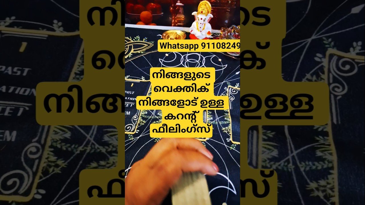 No momento, você está visualizando ❤️ അവർ ഇപ്പോഴും നിങ്ങളെ സ്നേഹിക്കുന്നുണ്ടോ? #tarotreading #tarot #timeless ✨