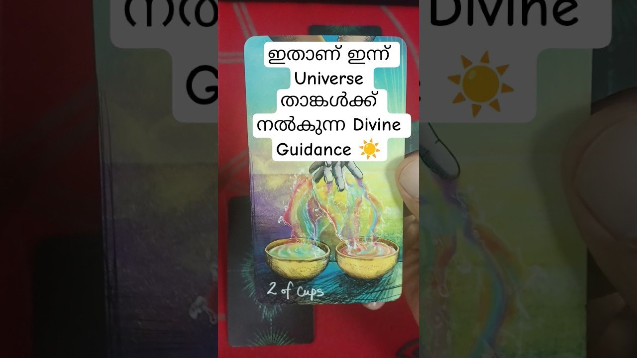 No momento, você está visualizando ഇതാണ് ഇന്ന് Universe താങ്കൾക്ക് നൽകുന്ന Divine Guidance #angeloracle #malayalmtarotreading #tarot