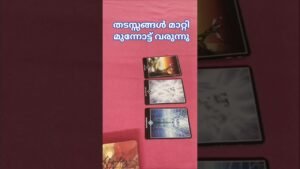 Leia mais sobre o artigo 💖തടസ്സങ്ങൾ മാറ്റുന്നു..#tarot #tarotreading #tarotcards #lovereading #soulmate @darpan929