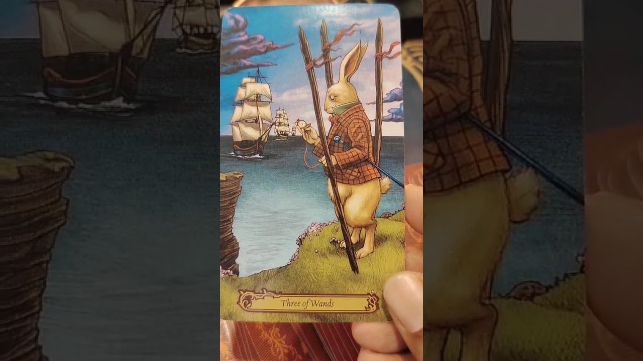 No momento, você está visualizando 03 . 06. 2026#tarotreading #viral #tarotreader #tarot #
