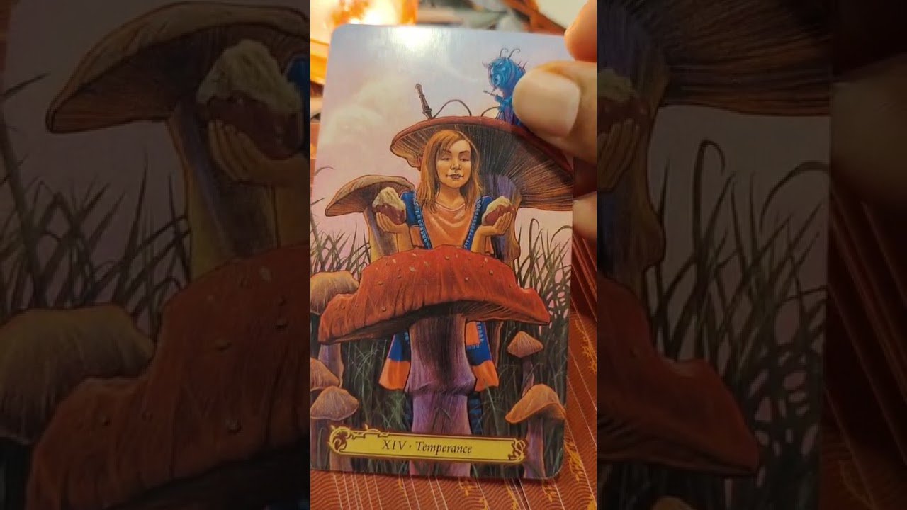 No momento, você está visualizando 09 . 06. 2026#tarot #tarotreading #tarotreader #viral #ppppppppppppppppppppppp #