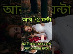 Leia mais sobre o artigo 72 ঘন্টায় মন উজাড় করবে তোমার জন্য #shorts #shortsfeed #tarotreading #tarot #viral #love #shortvideo