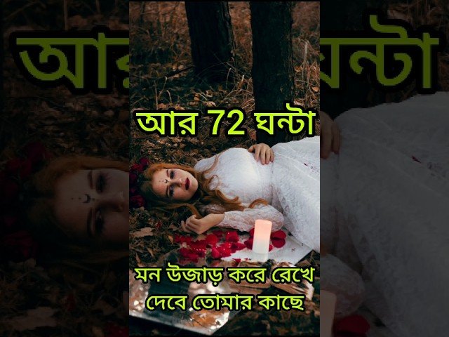 Leia mais sobre o artigo 72 ঘন্টায় মন উজাড় করবে তোমার জন্য #shorts #shortsfeed #tarotreading #tarot #viral #love #shortvideo