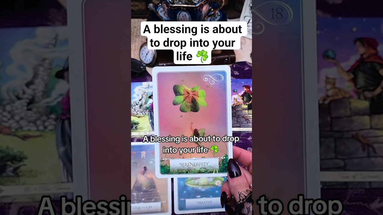 No momento, você está visualizando A blessing is about to drop into your life #tarot #tarotreading #dailytarot
