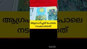 Leia mais sobre o artigo നിങ്ങളുടെ ആഗ്രഹിച്ചത് പോലേ #tarot #shortsfeed #shortvideo