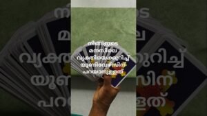 Leia mais sobre o artigo നിങ്ങളുടെ മനസിലെ വ്യക്തിയെക്കുറിച്ച് യൂണിവേഴ്സിന് പറയാനുള്ളത് #tarot #tarotreading #malayalam