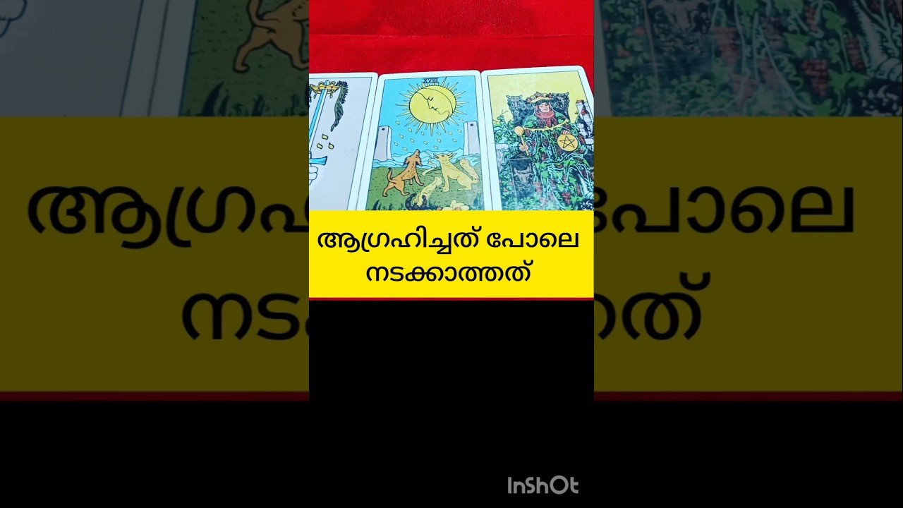 No momento, você está visualizando നിങ്ങളുടെ ആഗ്രഹിച്ചത് പോലേ #tarot #shortsfeed #shortvideo