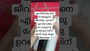 Leia mais sobre o artigo താങ്കളുടെ ജീവിതം എവിടേയ്ക്കാണ് പോകുന്നത് ക Angel Message #angeloracle #malayalmtarotreading #tarot