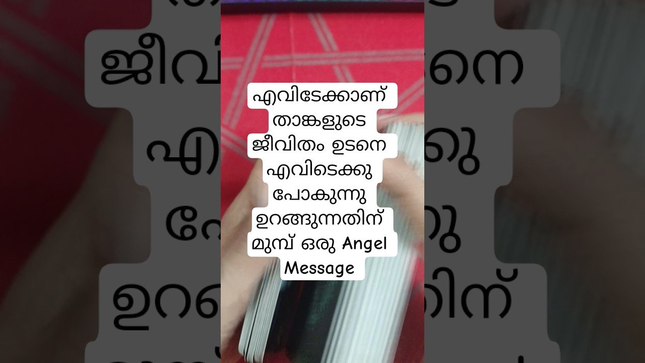 No momento, você está visualizando താങ്കളുടെ ജീവിതം എവിടേയ്ക്കാണ് പോകുന്നത് ക Angel Message #angeloracle #malayalmtarotreading #tarot