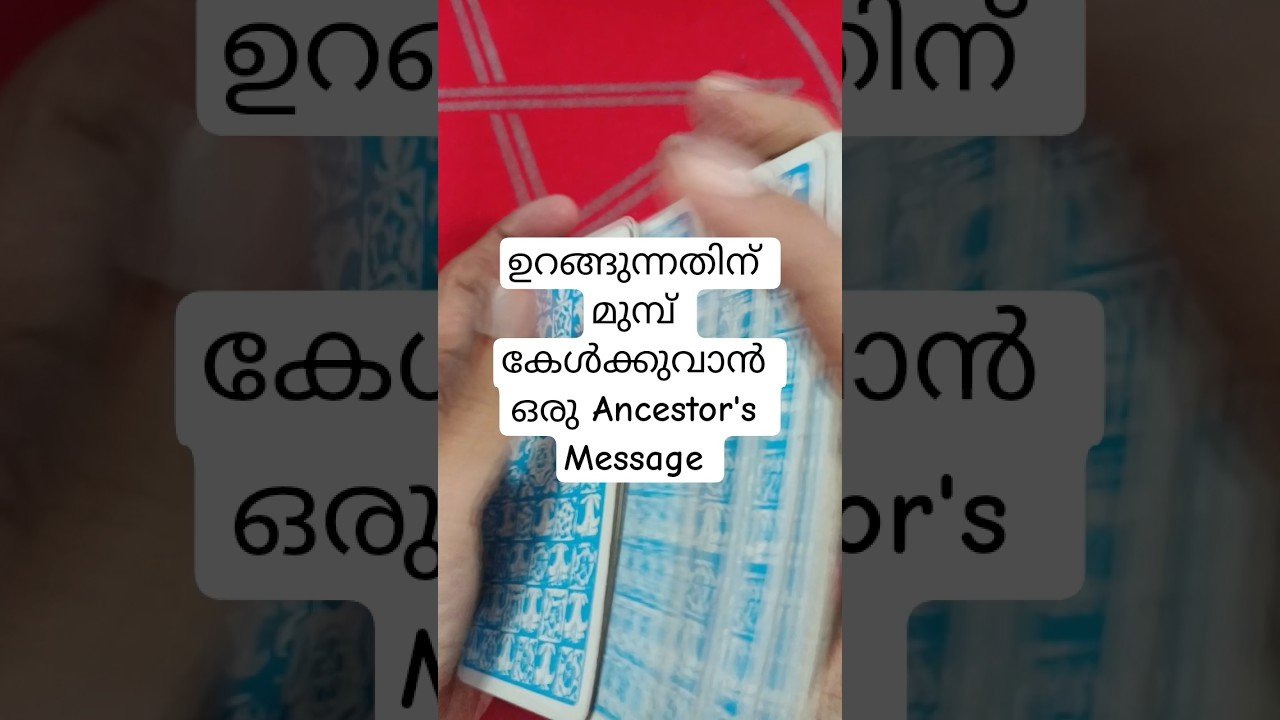 No momento, você está visualizando ഉറങ്ങുന്നതിന് മുമ്പ് കേൾക്കുവാൻ ഒരു Ancestor Message #angeloracle #malayalmtarotreading #tarot