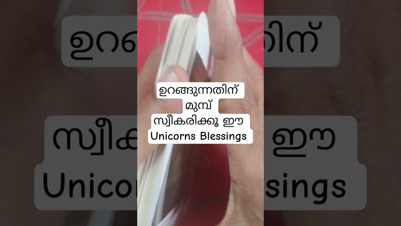 No momento, você está visualizando ഉറങ്ങുന്നതിന് മുമ്പ് സ്വീകരിക്കൂ Unicorn 🦄 messages #malayalmtarotreading #tarot
