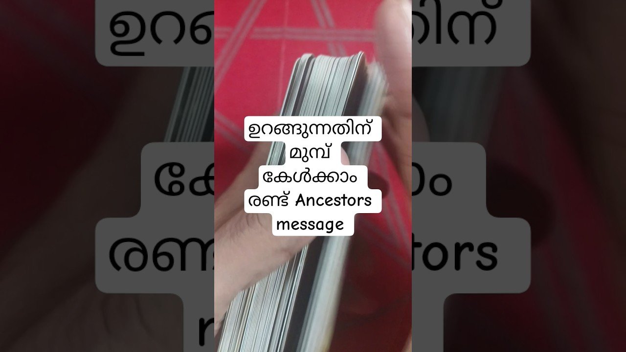 No momento, você está visualizando ഉറങ്ങുന്നതിന് മുമ്പ് കേൾക്കാം ഈ രണ്ട് Ancestors messages #angeloracle #malayalmtarotreading #tarot