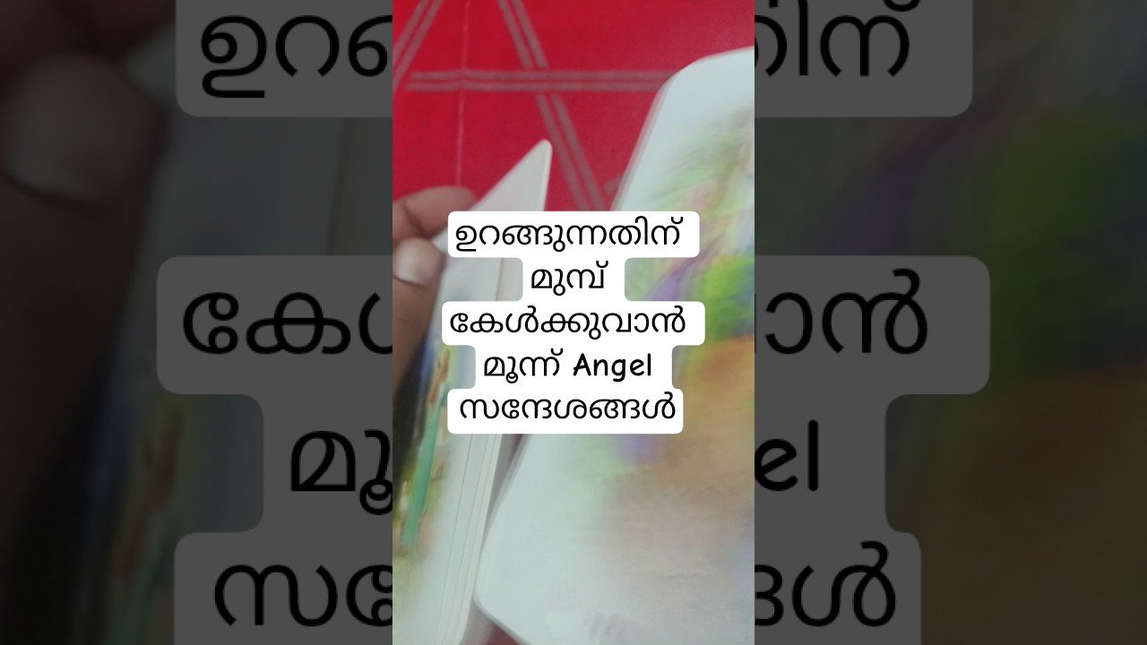 No momento, você está visualizando ഉറങ്ങുന്നതിന് മുമ്പ് കേൾക്കൂ ഈ മൂന്ന് മാലാഖ സന്ദേശങ്ങൾ #angeloracle #malayalmtarotreading #tarot