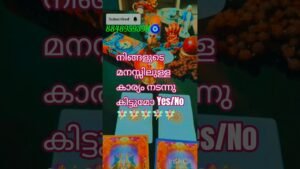 Leia mais sobre o artigo ഉറങ്ങുന്നതിനു മുമ്പ് നിങ്ങൾക്കുള്ള ഡിവൈൻ സന്ദേശം ✨✨✨#myworld #tarot #guidance