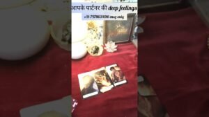Leia mais sobre o artigo आपके पार्टनर की deep feelings ✨#ytshortsindia #trending #tarot #viral