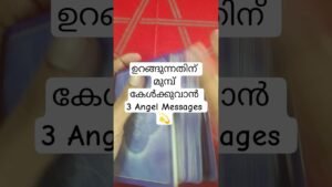 Leia mais sobre o artigo ഇന്ന് ഉറങ്ങുന്നതിന് മുമ്പ് കേൾക്കുവാൻ 3 Angel Messages #angeloracle #malayalmtarotreading #tarot