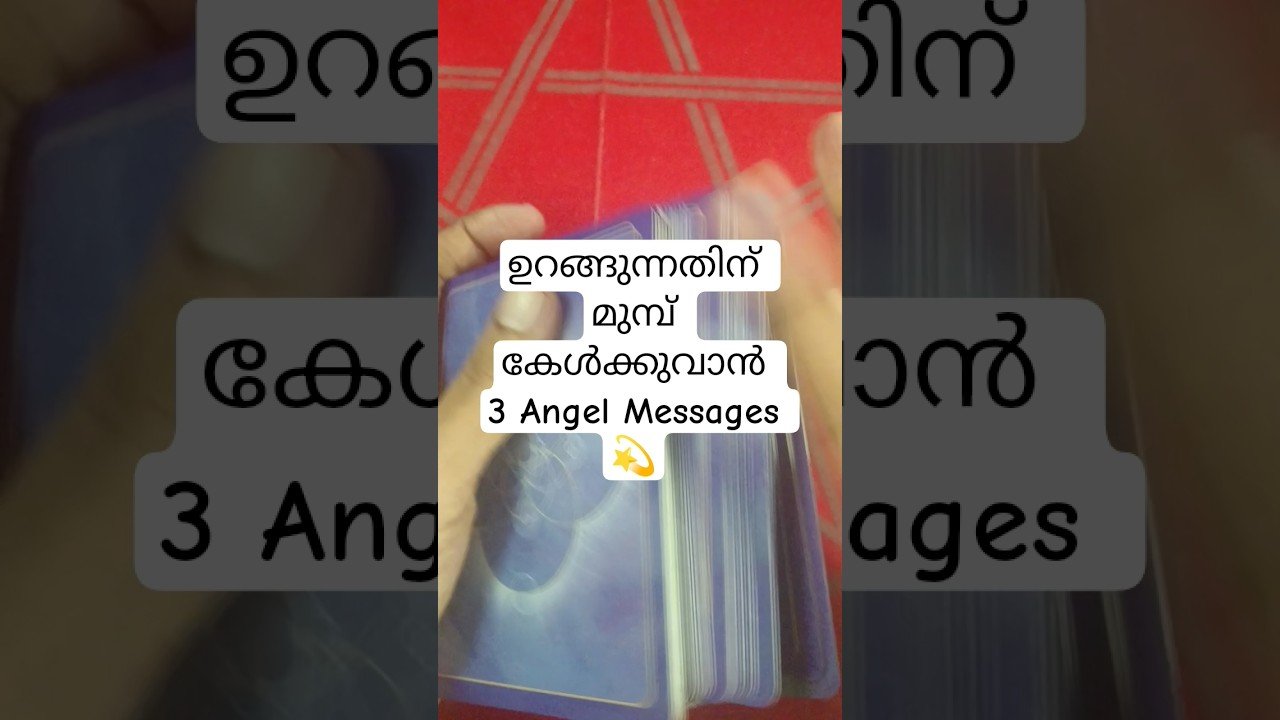 No momento, você está visualizando ഇന്ന് ഉറങ്ങുന്നതിന് മുമ്പ് കേൾക്കുവാൻ 3 Angel Messages #angeloracle #malayalmtarotreading #tarot