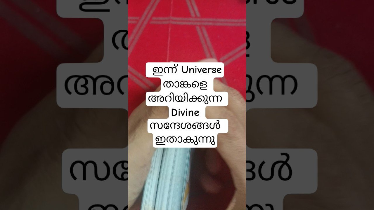 No momento, você está visualizando ഇന്ന് യൂണിവേഴ്സ് നൽകുന്ന ഡിവൈൻ സന്ദേശങ്ങൾ #angeloracle #malayalmtarotreading #tarot