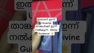 Leia mais sobre o artigo ഇന്ന് Universe താങ്കൾക്ക് നൽകുന്ന Divine Guidance ☀️ സൂക്ഷിച്ചാൽ ദുഃഖിക്കേണ്ട #angeloracle #tarot