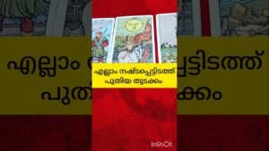 Leia mais sobre o artigo പുതിയ തുടക്കം വരുന്നു #tarot  #shortsfeed #shortvideo