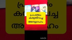 Leia mais sobre o artigo പ്രപഞ്ചത്തിന്റെ അനുഗ്രഹം #tarot #shortsfeed #shortvideo