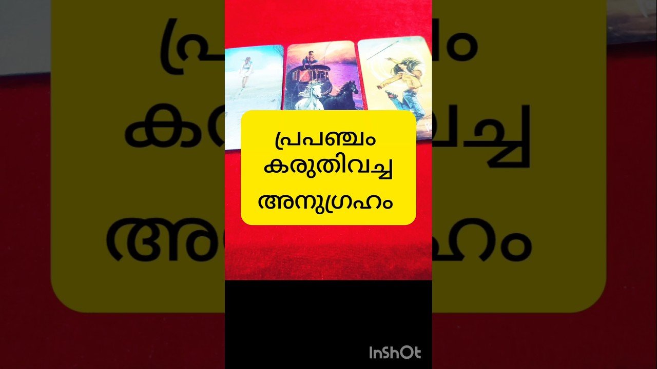 No momento, você está visualizando പ്രപഞ്ചത്തിന്റെ അനുഗ്രഹം #tarot #shortsfeed #shortvideo