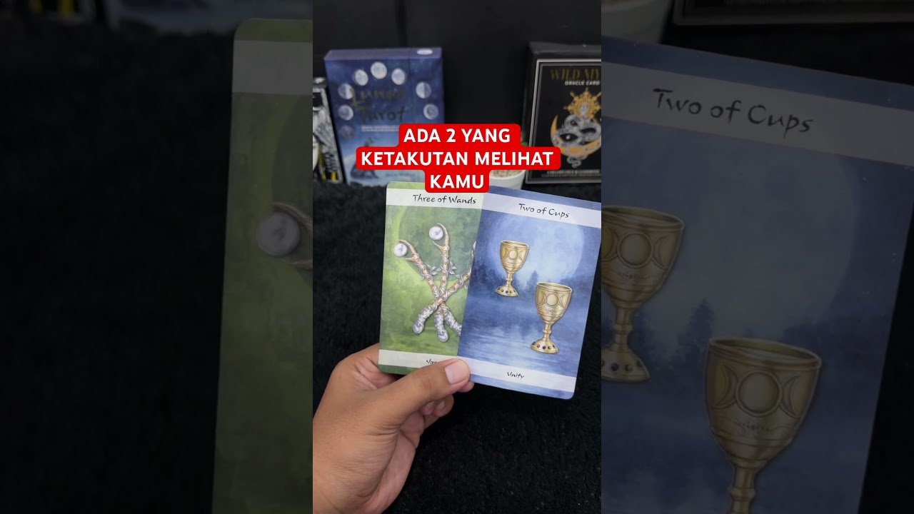 No momento, você está visualizando ADA 2 YANG KETAKUTAN MELIHAT KAMU #tarot #tarotreading