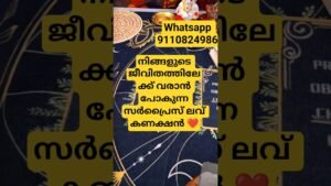 Leia mais sobre o artigo ❤️നിങ്ങളുടെ ജീവിതത്തിലേക്ക് വരാൻ പോകുന്ന സർപ്രൈസ് ലവ് കണക്ഷൻ ❤️#tarot #tarotreading #timeless ❤️