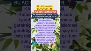 Leia mais sobre o artigo Aklındaki kişi çok pişman #tarot #aklımdakikişitarotaçilimi #tarotreadi #astroloji #astroloji