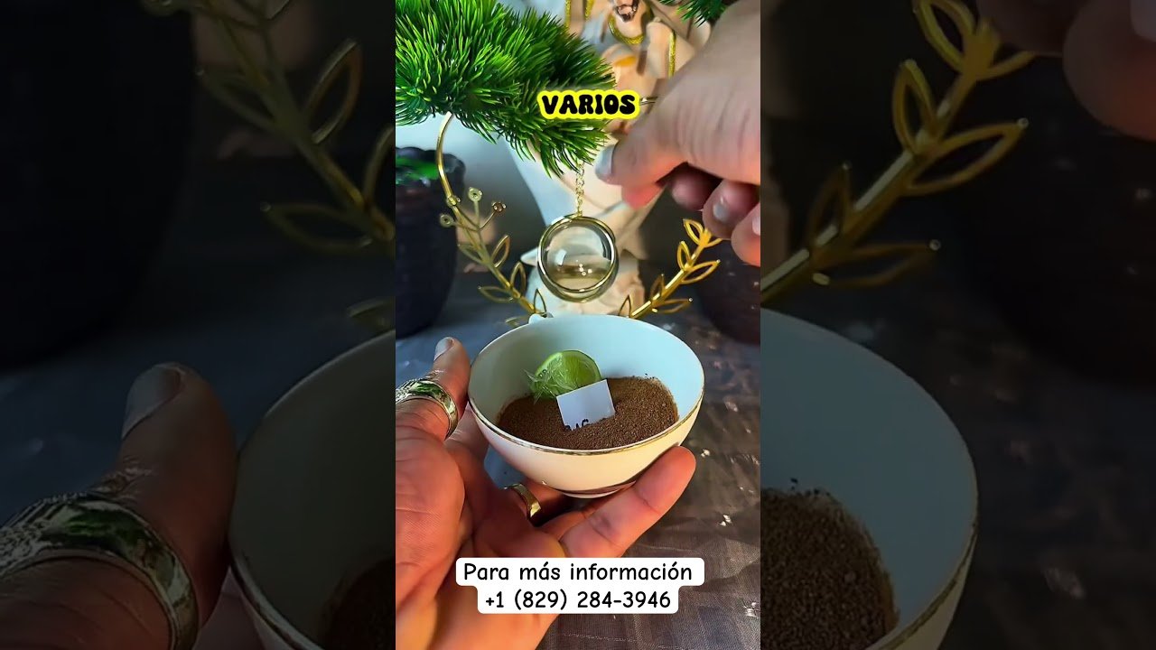 No momento, você está visualizando Amárralo con este poderoso ritual #usa #natural #amarras #amor #dinero #abundancia #tarot #prosperi
