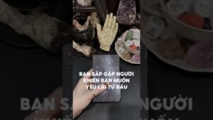 Leia mais sobre o artigo Bạn sắp gặp người khiến bạn muốn yêu lại từ đầu#tarot #duongtarot #tarotreels #tarotvietnam #tinhyeu