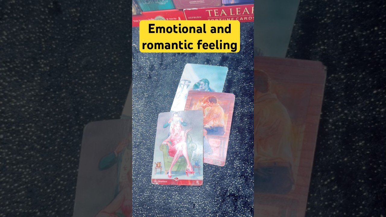 No momento, você está visualizando current feelings for you/True intentions for you/#tarot #nocontactreading #tarotreading #cardreading